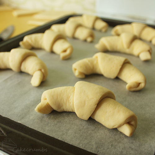 ook Book Challenge Week 41