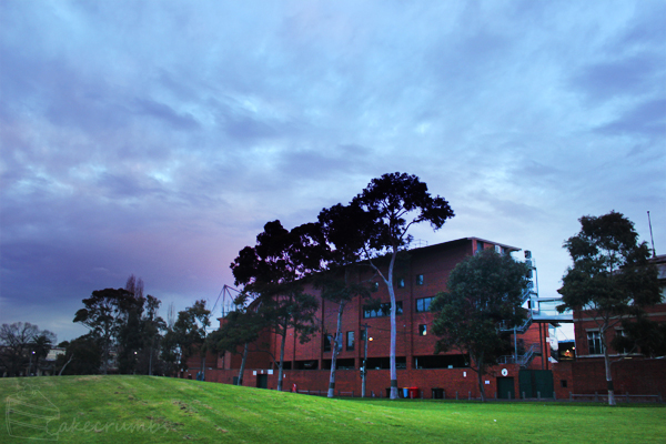 Cakecrumb's Carlton Cupcakes 01