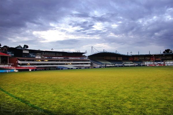 Cakecrumb's Carlton Cupcakes 03