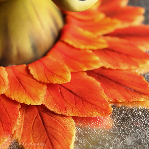 Cakecrumb's Mad Scrub 09