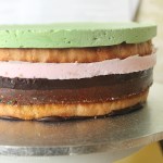 Cakecrumbs' Lolly Bag Cake 44