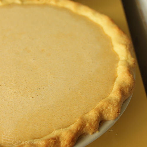 Cakecrumbs' Pumpkin Pie 11