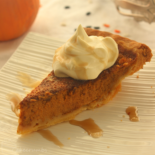 Cakecrumbs' Pumpkin Pie 13