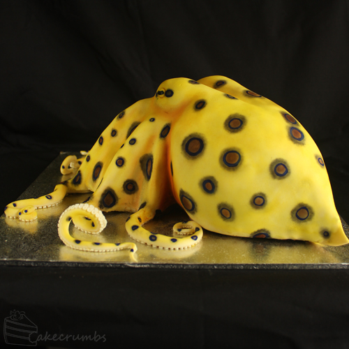 Cakecrumbs' Blue-ring Octopus Cake 11