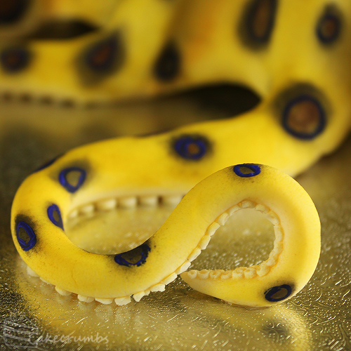 Cakecrumbs' Blue-ring Octopus Cake 12