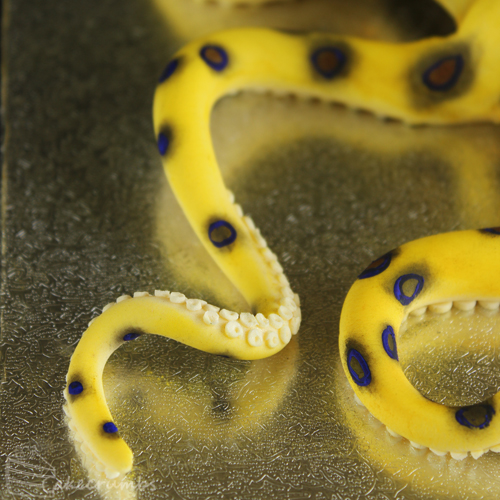 Cakecrumbs' Blue-ring Octopus Cake 13