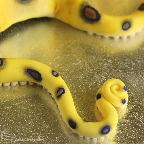 Cakecrumbs' Blue-ring Octopus Cake 14