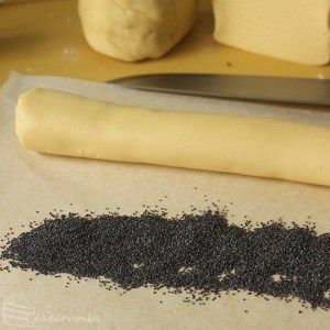 Cakecrumbs' Emergency Cookies 10