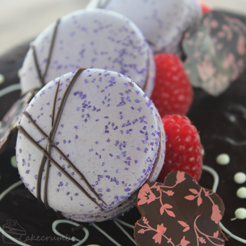 Cakecrumbs' Chocolate and Raspberry Mousse Joconde 13