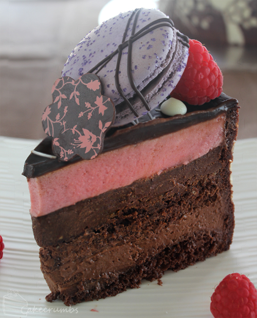 Cakecrumbs' Chocolate and Raspberry Mousse Joconde 16