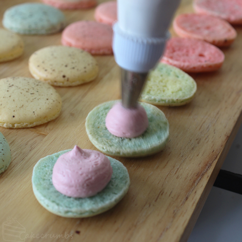 Cakecrumbs' Easter Macarons 11