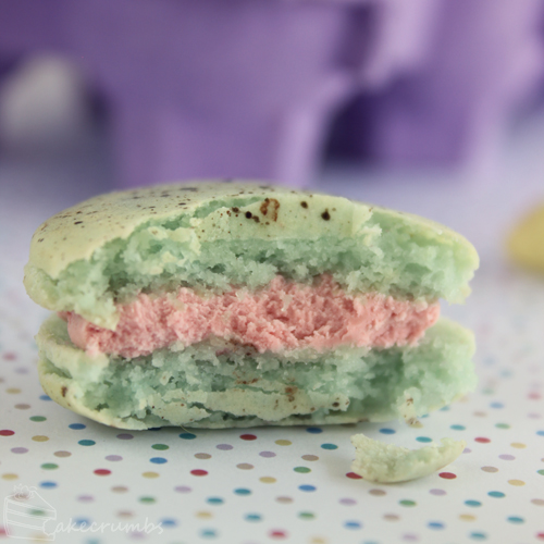 Cakecrumbs' Easter Macarons 13