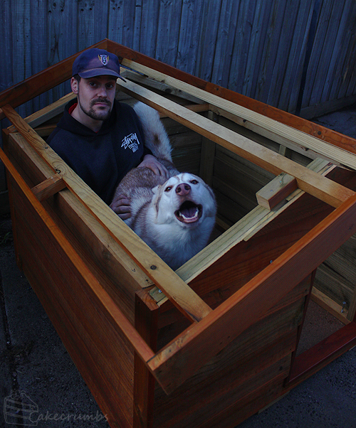 Cakecrumbs' Bacon and Meatball Pupcakes 022