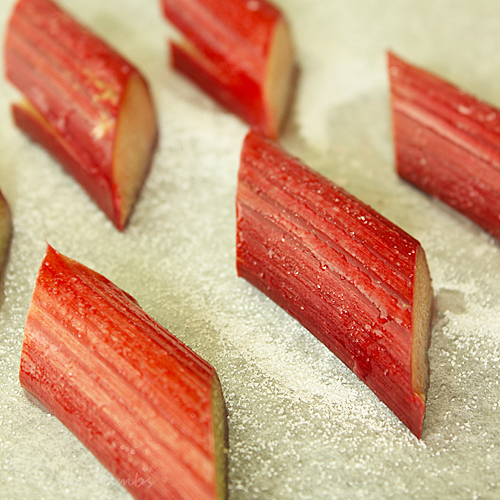 Cakecrumbs' Lemon Panna Cotta 06