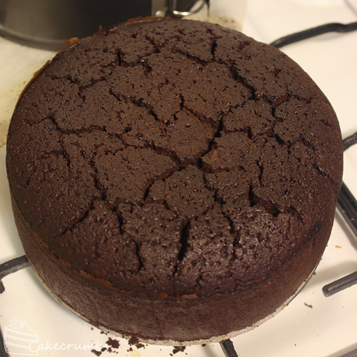 Cakecrumbs' Mudcake 02