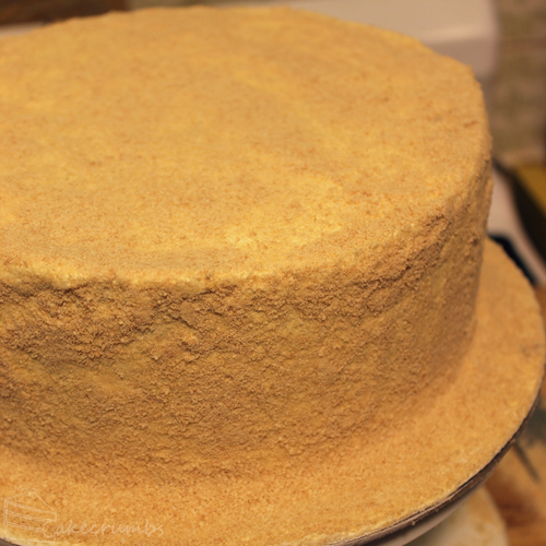 Cakecrumbs' Pirate Cake 03