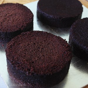 Cakecrumbs' White Christmas Tree Cakes 03