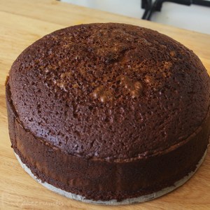 Cakecrumbs' White Christmas Tree Cakes 05