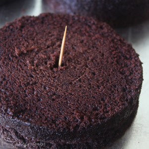 Cakecrumbs' White Christmas Tree Cakes 11