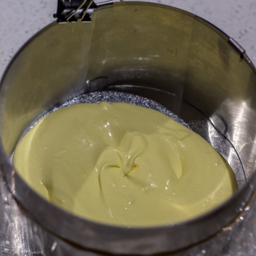 Cakecrumbs Passionfruit Entremet-4