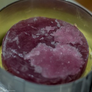 Cakecrumbs Passionfruit Entremet-6